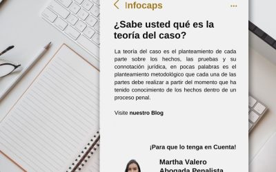 ¿Sabe usted qué es la teoría del caso?